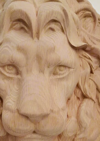 Lion's Head Applique